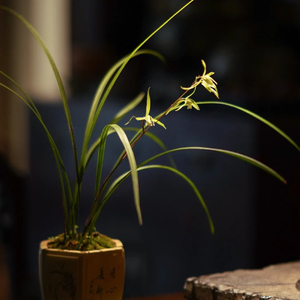 猜不透(Prod.Gr33nart Beat)