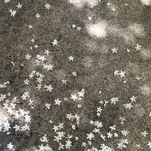 河流（迷幻）
