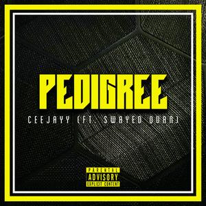 Pedigree (feat. Swayed Quan)
