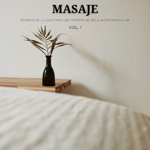 Ruido De La Lluvia Ruido Calmante