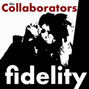 Fidelity