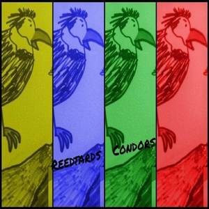 Condors