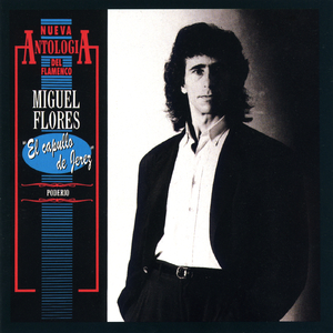 La alegría de mi cuerpo (Bulerías)