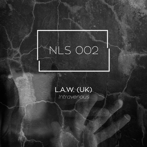 Intravenous (Hans Bouffmyhre Remix)