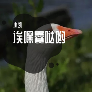 the hateful eight cut