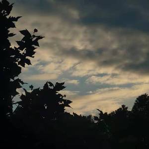 千禧（cover：徐秉龙）