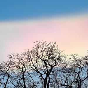 Blank (Instrumental)