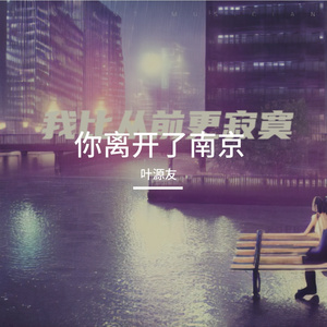 你离开了南京