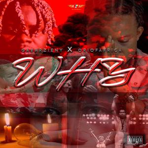 WHY (feat. Ori Of Africa)