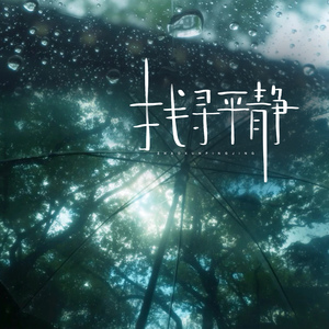 找寻平静