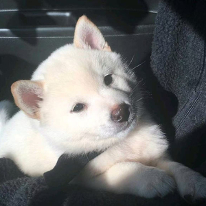 爱是奢侈品，你我都在贫民窟