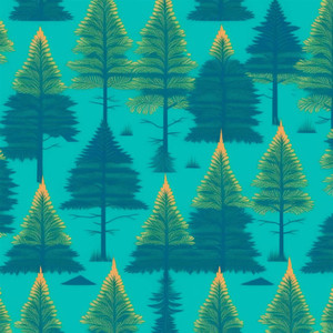 Загадочные следы