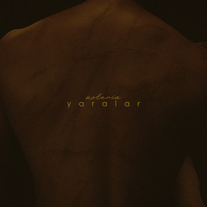 yaralar