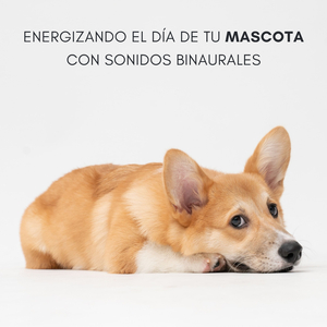 Golosinas Binaurales Juguetonas