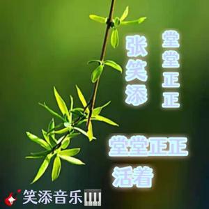 堂堂正正（翻自 郝云）