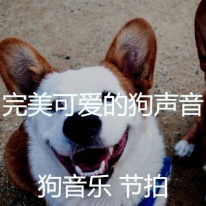 有趣训练你的狗情怀