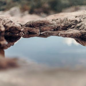 巴黎的浪漫（图书馆背景音乐小提琴）