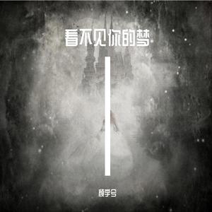 看不见你的梦伴奏