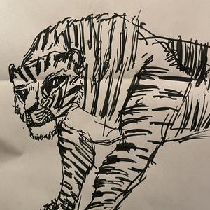 high risk, high reward