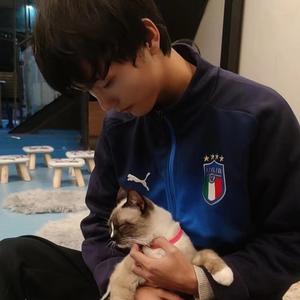 Letting go（指弹）