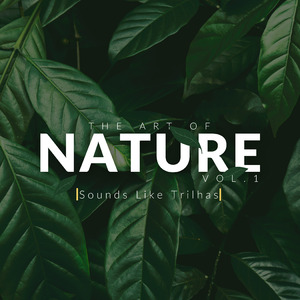 The Art Of Nature, Vol. 1