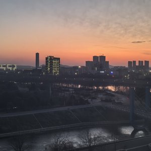 塑料花