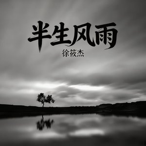 半生风雨