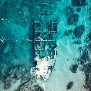 苍泪