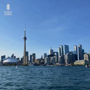 Ice Hockey in Trinity Bellwoods (Brown-Noise-Blend)