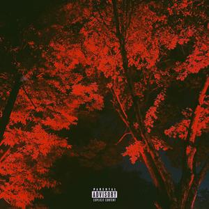 fall.