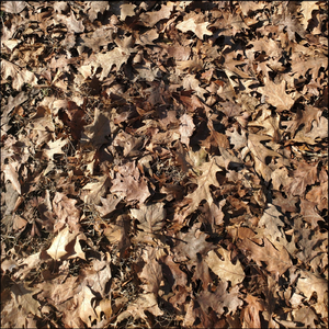 Beats for Broken Hearts (Film Score Edit)