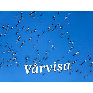 Vårvisa
