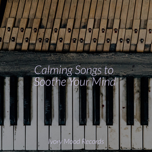 Moonlit Memory Trails