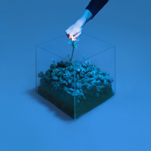 What’s It Gonna Take