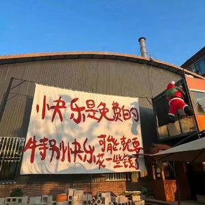 静享生命之花绽放的时光