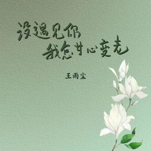 没遇见你我怎甘心变老