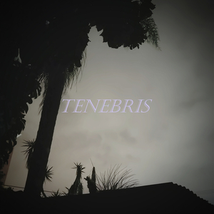 Tenebris