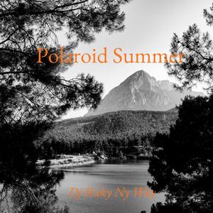 Polaroid Summer