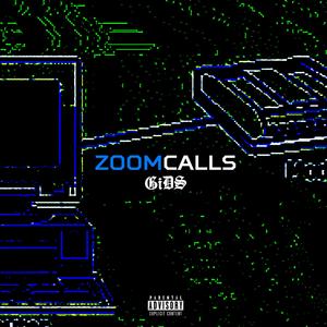 ZOOM CALLS