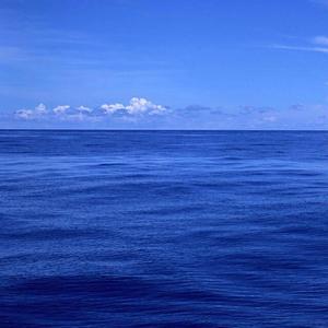 至少还有你 口琴版