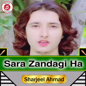 Sara Zandagi Ha