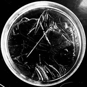 Halloween Halloween (feat. Noah)