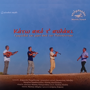 Vgika psila sta diasela