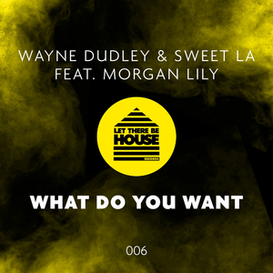 What Do You Want (Original Mix)