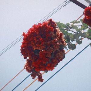 新辰