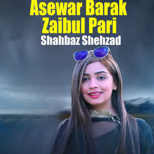 Asewar Barak Zaibul Pari