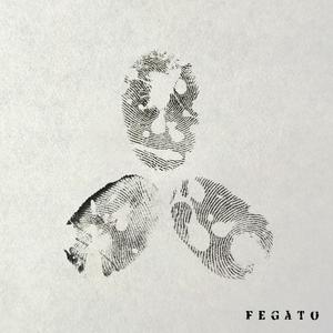Fegato