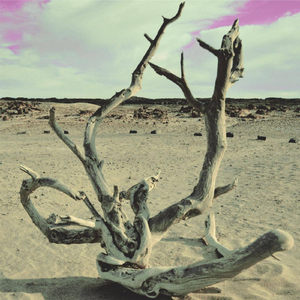 Capitán (feat. Yacaré Manso)