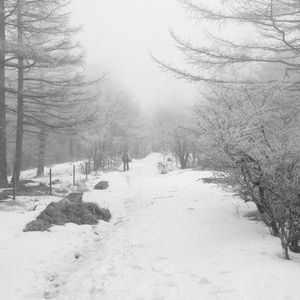 人山人海 你是我的意外