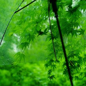 雨歇云初散
